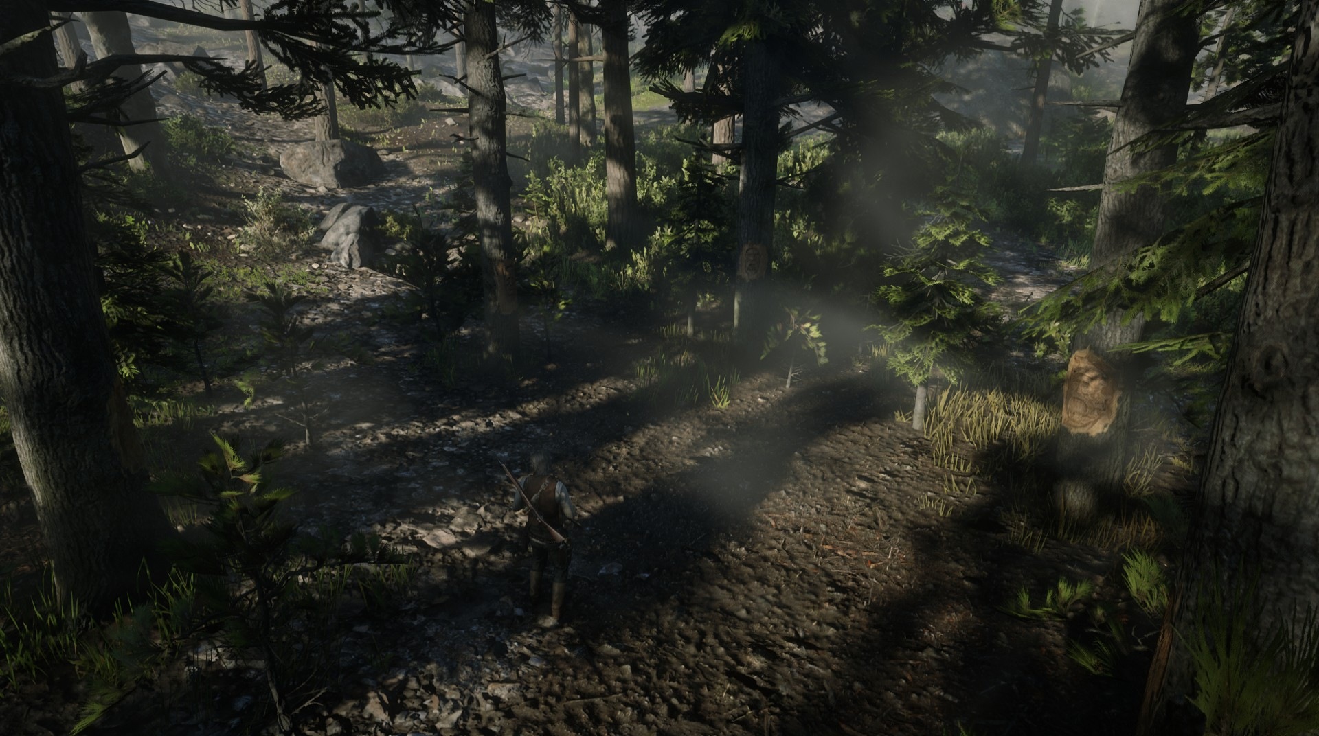 Faces in Trees RED DEAD REDEMPTION 2 情報&攻略 wiki RDR2 atwiki（アットウィキ）